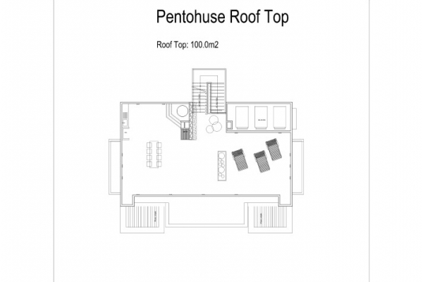 penthouse-floor-plan-roof4FA9CF5A-A734-305E-2FE7-B0EC91276A09.jpg